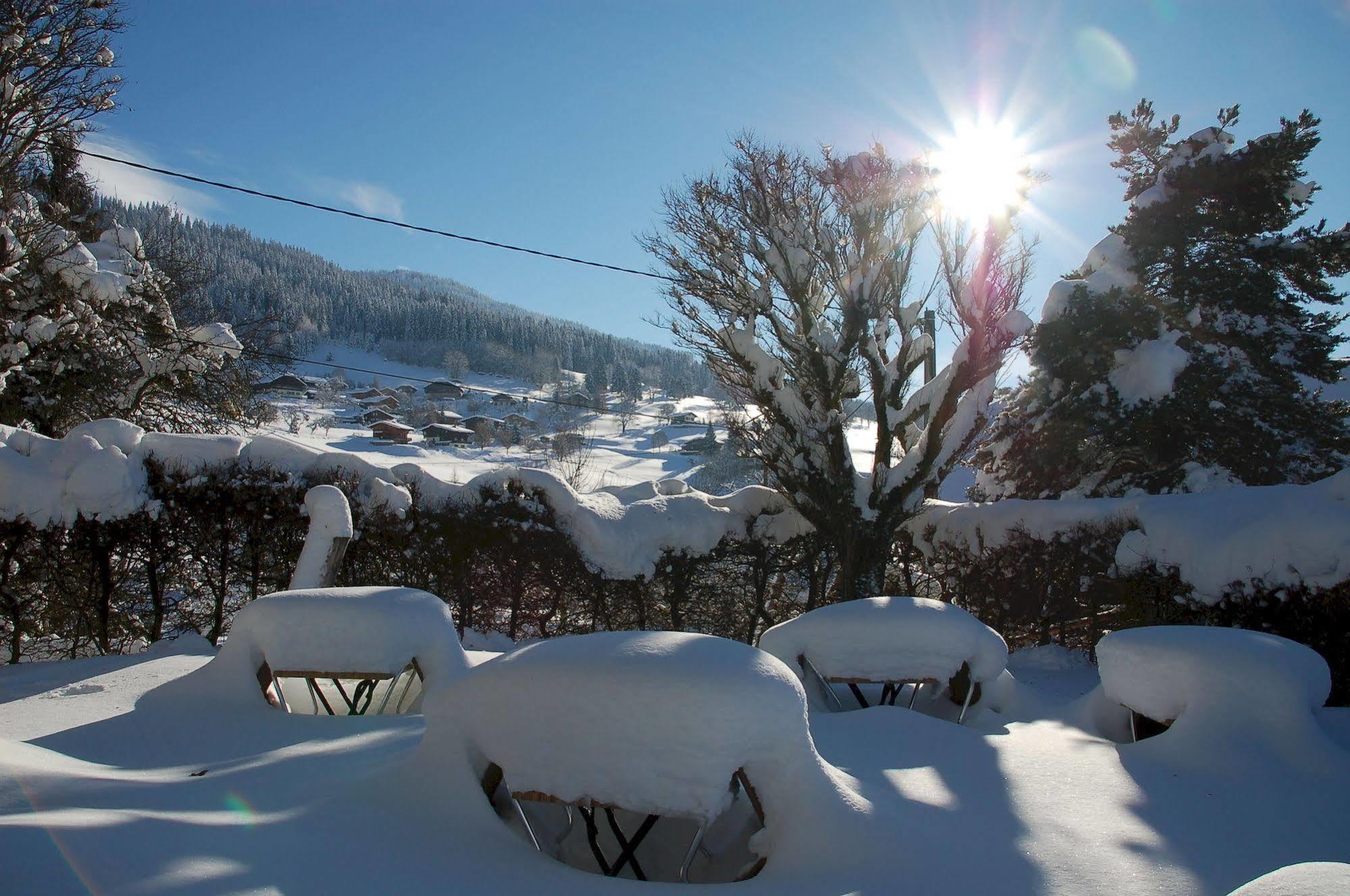 Hotel Le Caprice Des Neiges 孔布卢 外观 照片
